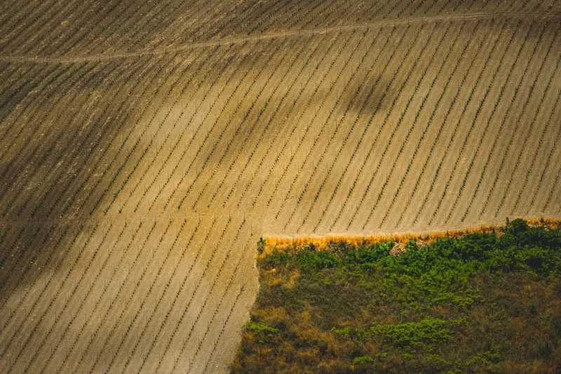 The Right Tool for the Right Farm: How Detailed Registry Profiles Are Transforming Agtech Partnerships