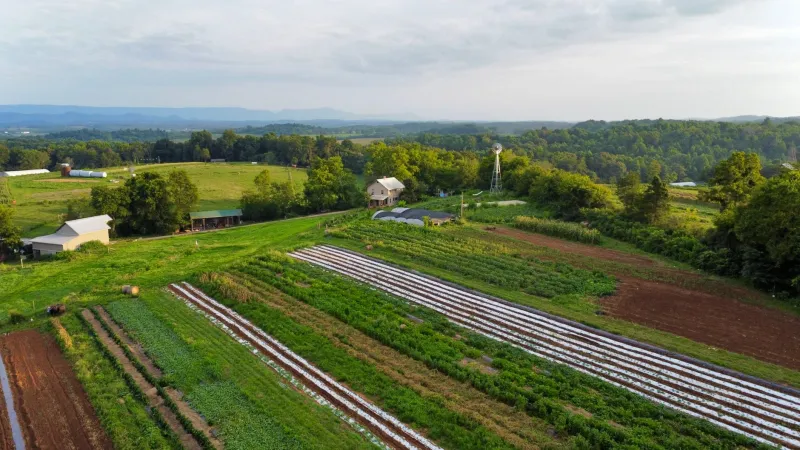 Green Practices, Invisible Proof: How Unregistered Farms Are Losing the Sustainable Premium They've Earned