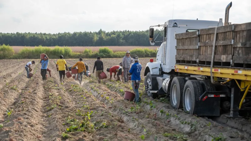Who Really Feeds America? The Agricultural Workers and Contract Growers Falling Through the Registry's Cracks