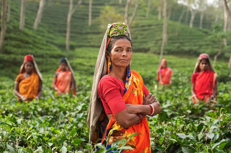 Verified to Negotiate: How Registry Documentation Is Shifting Power Dynamics Between Farms and Their Suppliers